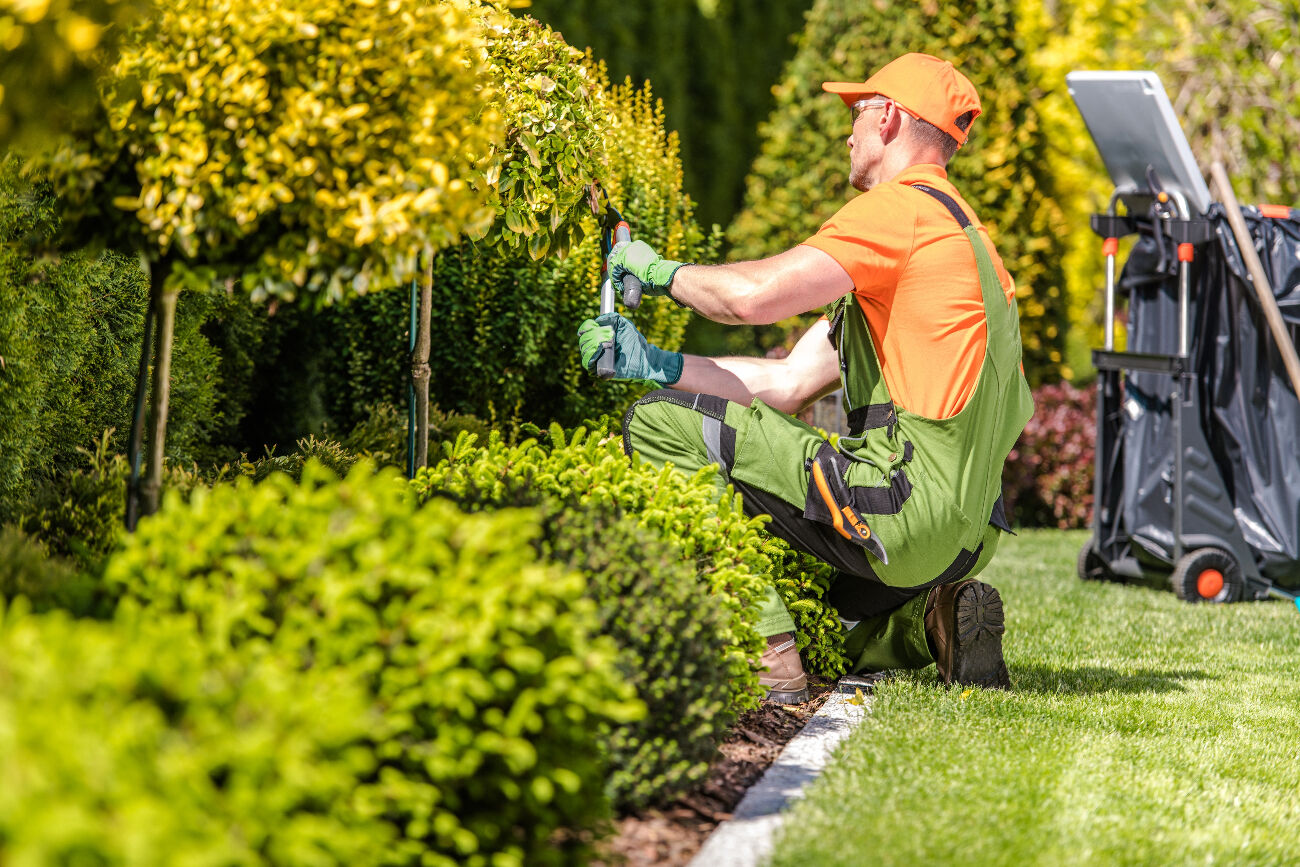 entretien de jardin